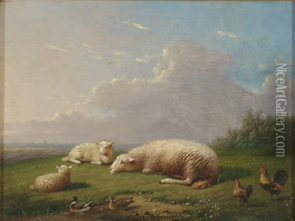 Sheep At Rest With Ducks And Roosters Oil Painting - Franz van Severdonck