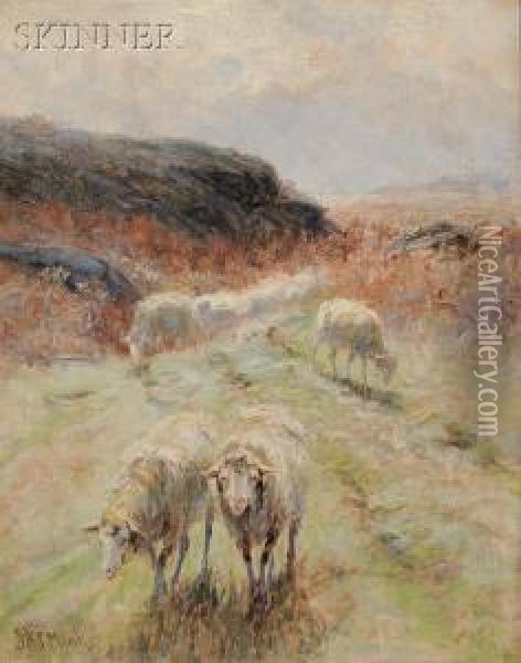 Grazing Sheep Oil Painting - John Austin Sands Monks