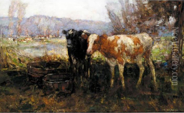 The Young Calves Oil Painting - William Watt Milne