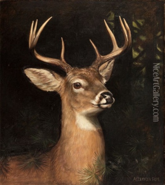 Buck In The Forest Oil Painting - Alexander Pope