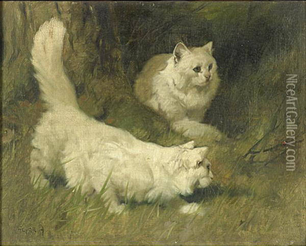 White Persian Cats Chasing A Ladybug Oil Painting - Arthur Heyer