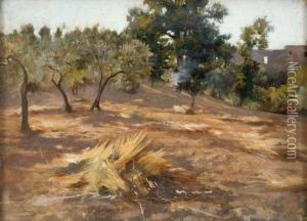 Paesaggio Con Ulivi E Fascina Oil Painting - Nicola Biondi