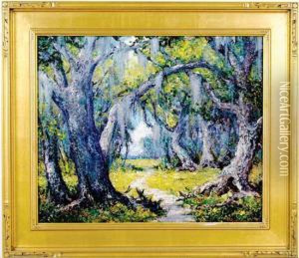 Through The Woods Black River South Carolina Oil Painting - Wilfred Thompson