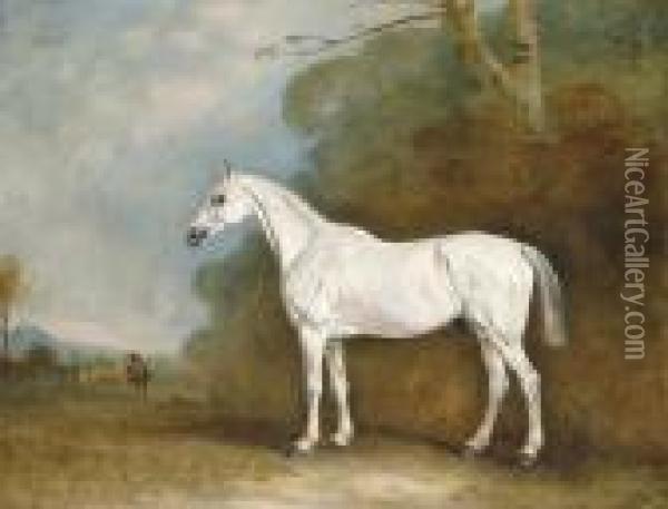 A Grey Hunter In A Wooded Landscape Oil Painting - John Snr Ferneley