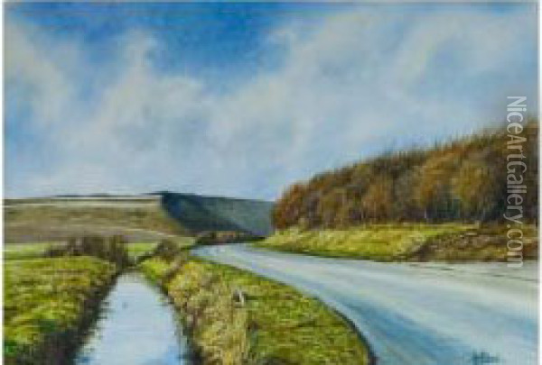 Country Road Scene Oil Painting - John Haynes-Williams