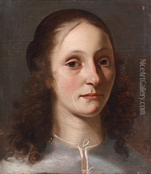 Portrat Einer Jungen Dame Oil Painting - Jan De Bray