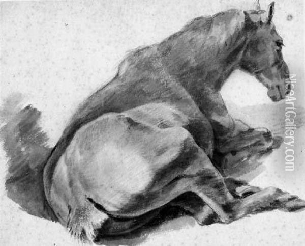 A Horse Lying Down Oil Painting - Pieter van Bloemen
