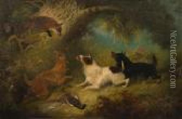 A Fox Cornered Up A Tree By Threeterriers Oil Painting - George Armfield