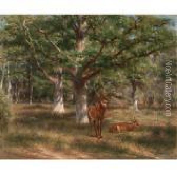 Two Deer In A Forest Glade Oil Painting - Rosa Bonheur