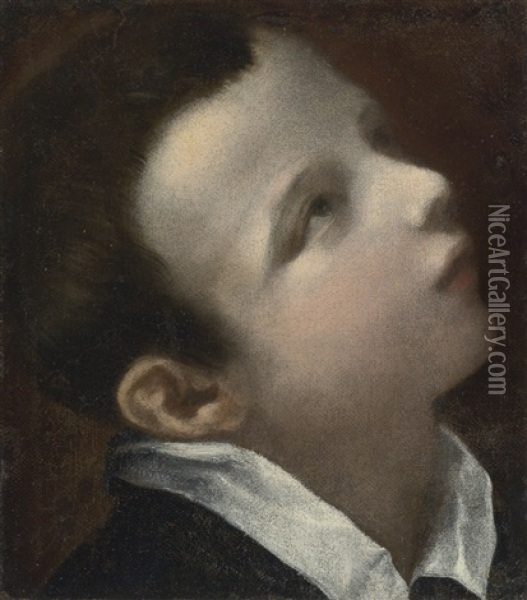 Head Of A Youth, Looking Upwards To The Right Oil Painting - Annibale Carracci