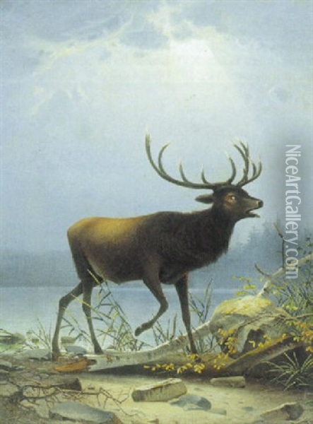 Brolende Kronhjort Ved Skovso Oil Painting - Karl Julius Lorck