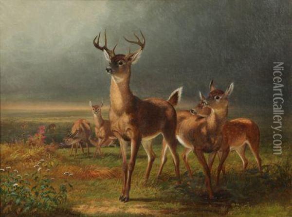 Deer On The Prairie Oil Painting - William Holbrook Beard