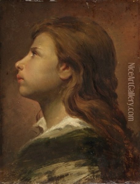 Portrat Eines Junglings Im Profil Oil Painting - Cesare Fracassi