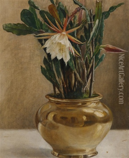 Bluhender Kaktus Oil Painting - Paul Hansa