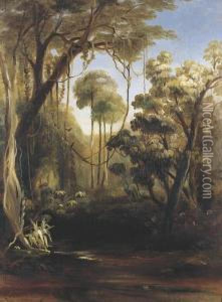 Forest Scene, Illawarra Oil Painting - Conrad Martens