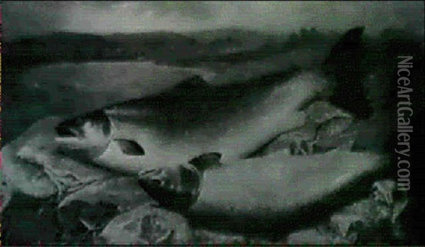Two Prize Salmon On A River Bank Oil Painting - John Bucknell Russell