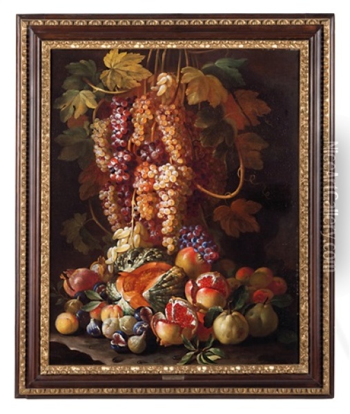 Natura Morta Con Tralci D'uva E Frutti Oil Painting - Francesco della Questua