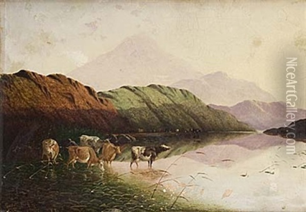 Kor Vid Vattenbryn Oil Painting - Henry John Boddington