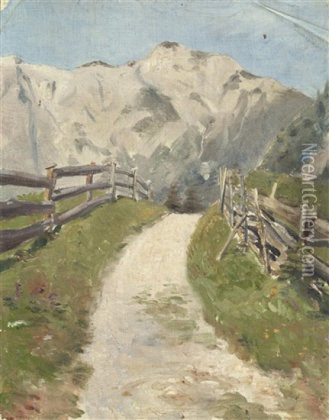 Sonnendurchfluteter Wiesenweg Im Hochgebirge Oil Painting - Julius von Blaas