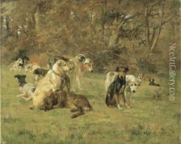 Cani Nella Radura Oil Painting - Eugenio Cecconi