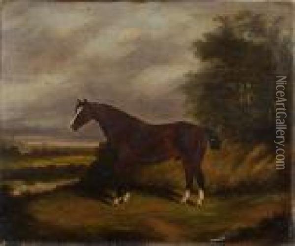 A Bay Horse In A Landscape Oil Painting - James Senior Clark