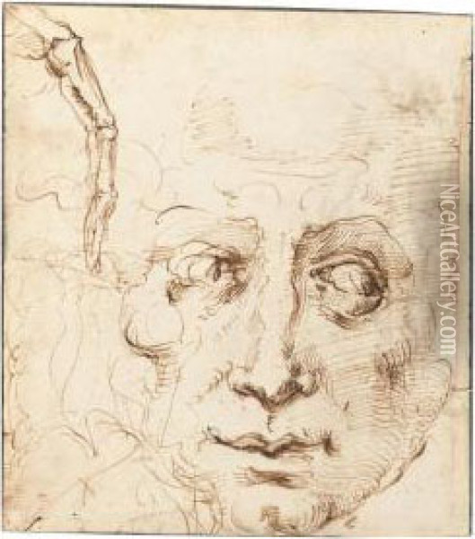 Recto: Sheet Of Studies With The Head Of A Man And A Skeletal Finger Oil Painting - Domenico Beccafumi