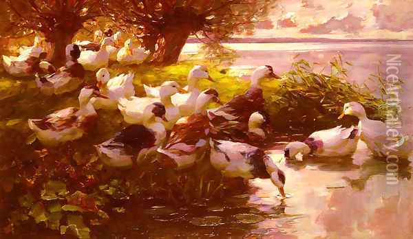 Ducks On A Lake Oil Painting - Alexander Max Koester