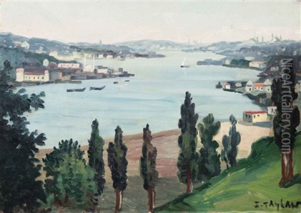 Istanbul Oil Painting - Sururi Taylan