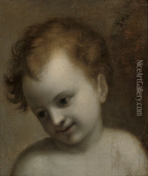 Head Of A Putto Oil Painting -  Correggio