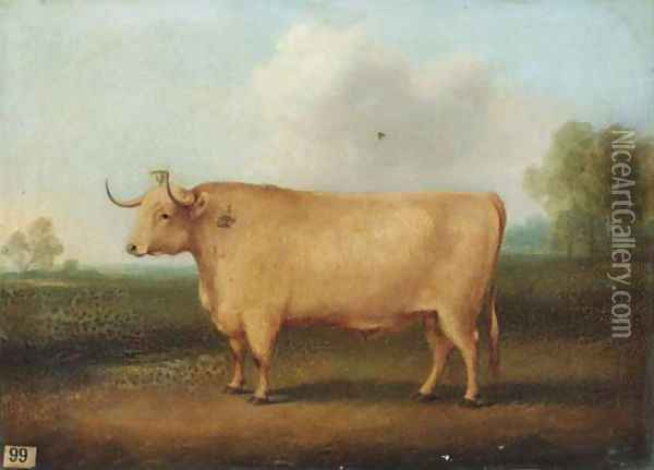 A longhorned bull in a landscape Oil Painting - William Henry Davis