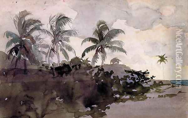 Coconut Palms Oil Painting - Winslow Homer