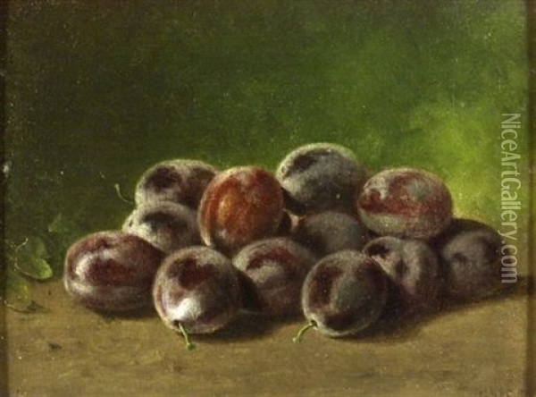 Still Life With Plums Oil Painting - George Harvey