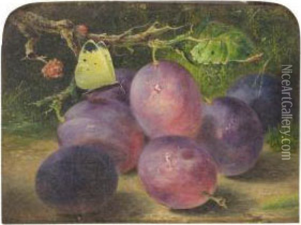 Still Life Of Plums With A Cabbage White Oil Painting - Benjamin Roberts