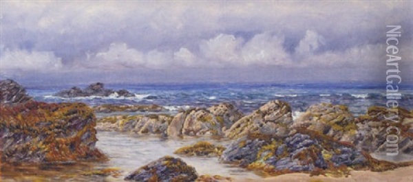 Southerly On The Clyde Oil Painting - John Brett