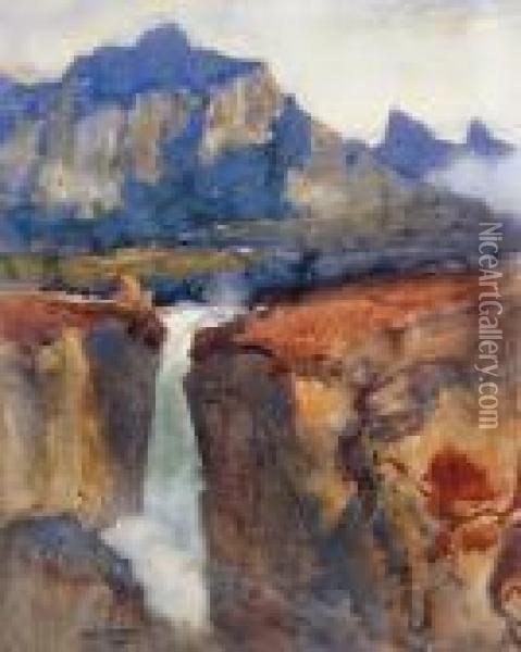Highland Waterfall Oil Painting - James Paterson