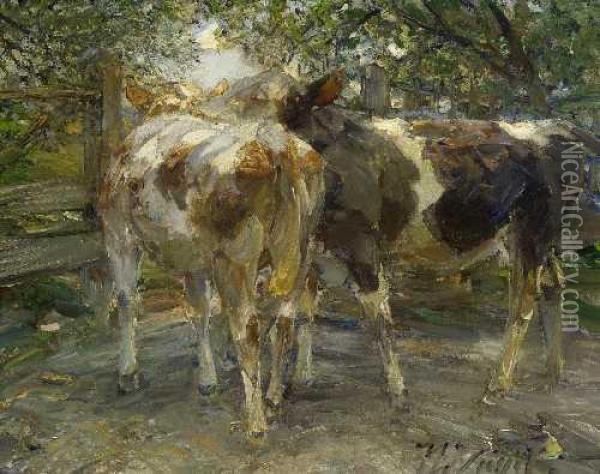 Zwei Rinder Am Gatter. Oil Painting - Heinrich Johann Von Zugel