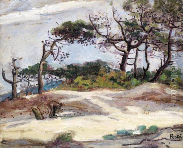 Provencal Pines Oil Painting - Jean Misceslas Peske