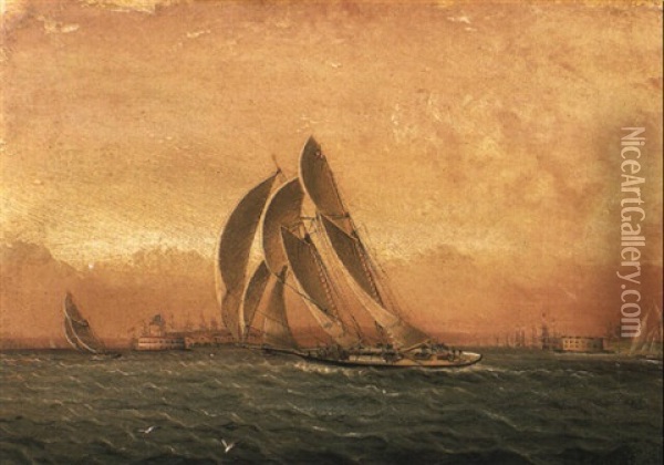 In Full Sail, New York Harbor Oil Painting - James Edward Buttersworth