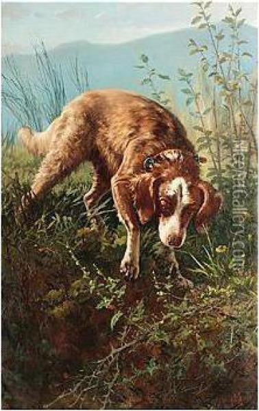 Dog In Briars Oil Painting - Carlo Ademollo