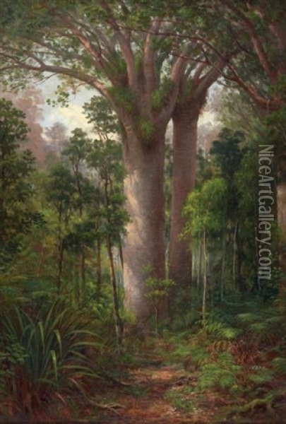 Kauri Park Kaipara Oil Painting - Charles Blomfield