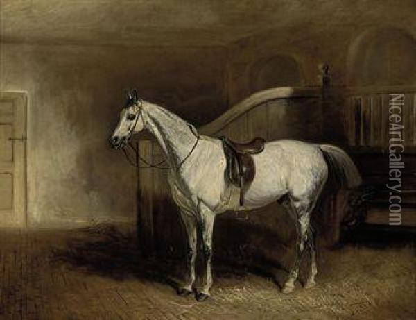Lord Rancliffe's Grey Hunter, In A Loosebox Oil Painting - John Snr Ferneley
