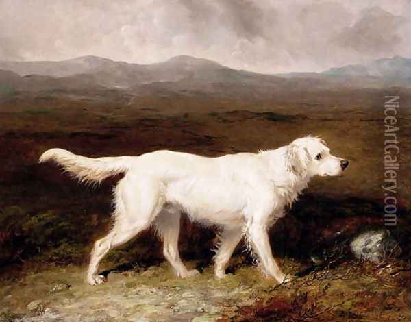 Charles Brett's White English Setter, Sam in a Moorland Landscape, 1836 Oil Painting - Abraham Cooper