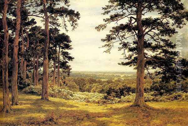 A Peep Through The Pines Oil Painting - Benjamin Williams Leader