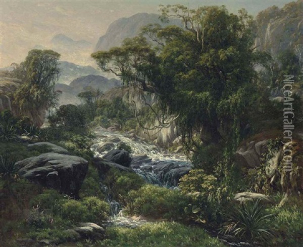 A Mountain Stream In The Rainforest Above Rio De Janiero Oil Painting - Henri Nicolas Vinet