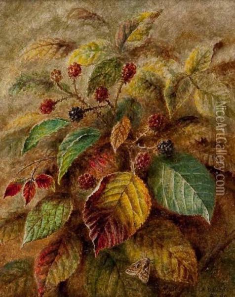 Blackberries Oil Painting - Albert Durer Lucas