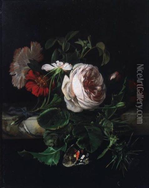A Sprig Of Damask Roses, A White
 And Red Carnation And A Thistle,tied With A Blue Ribbon, With A Red 
Admiral, On A Stone Ledge Oil Painting - Willem Van Aelst