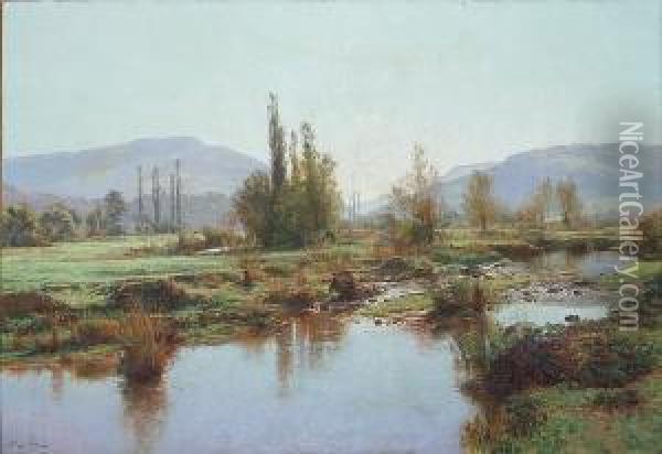 An Extensive River Landscape With Mountains Beyond Oil Painting - Albert Gabriel Rigolot