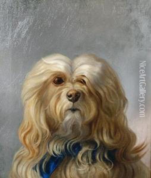 Maltese Terrier Oil Painting - George Earl