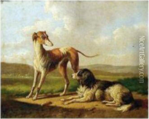 Greyhounds In A Landscape Oil Painting - Albertus Verhoesen