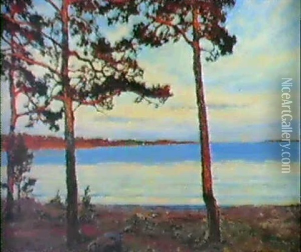 Solbelysta Tallar I Ytterskargarden Oil Painting - Gottfried Kallstenius